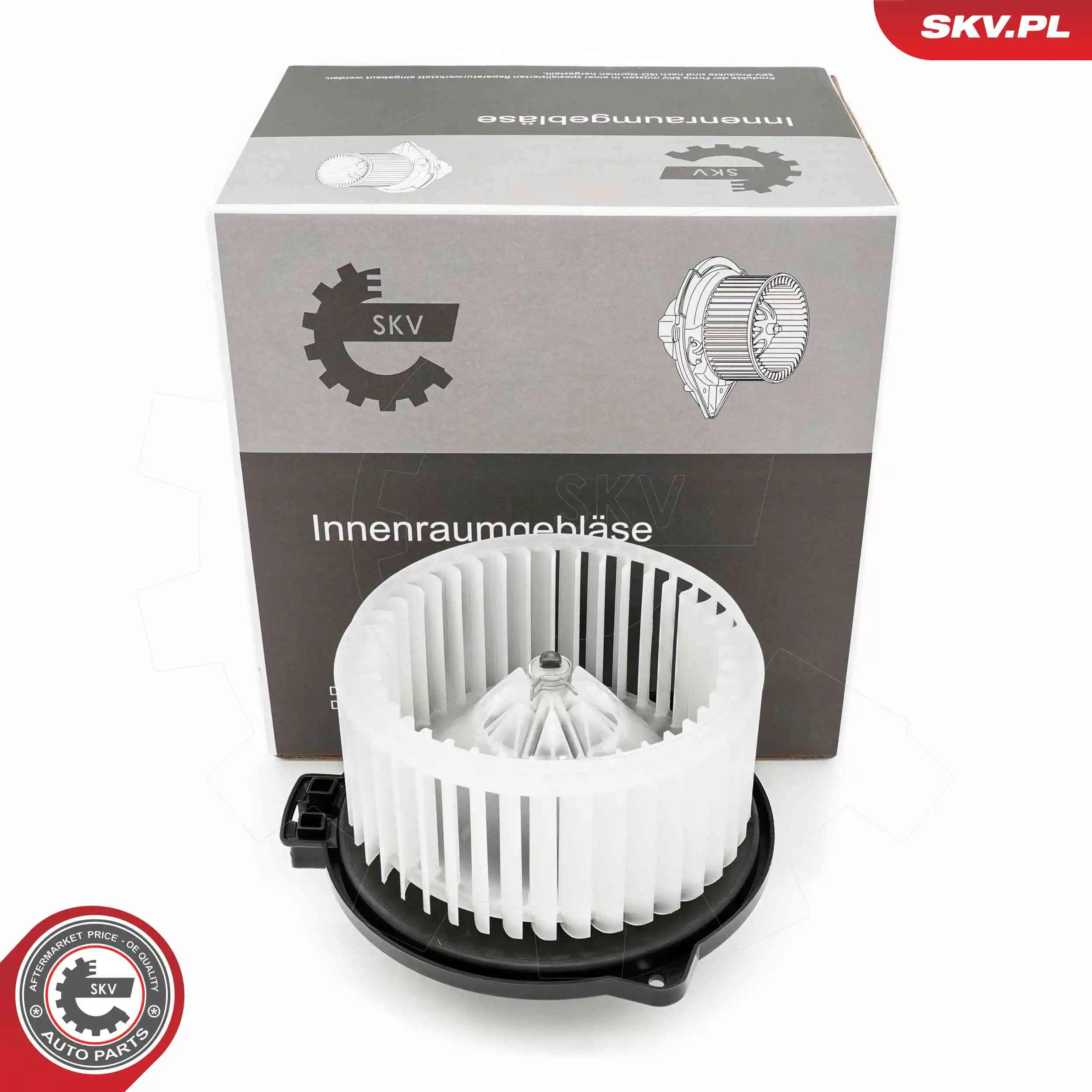 Interior Blower